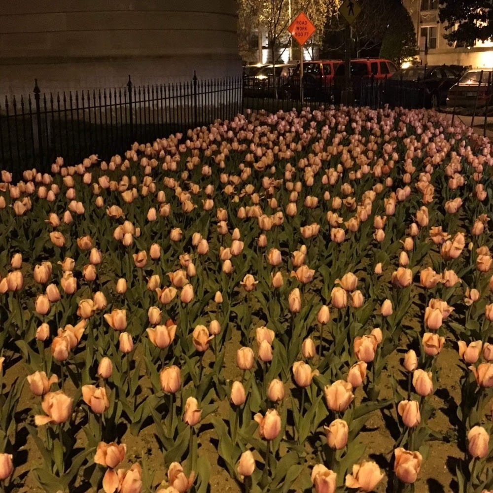 Meet your Posher, Adam